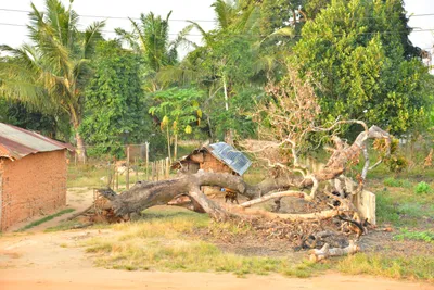 DSC_4291 (Large).JPG